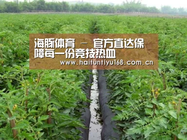 种植基地三