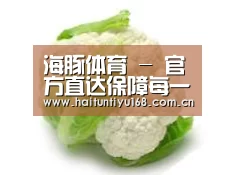 产品名称九