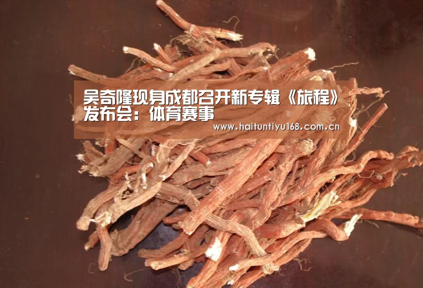 吴奇隆现身成都召开新专辑《旅程》发布会:体育赛事(图1) 海豚体育