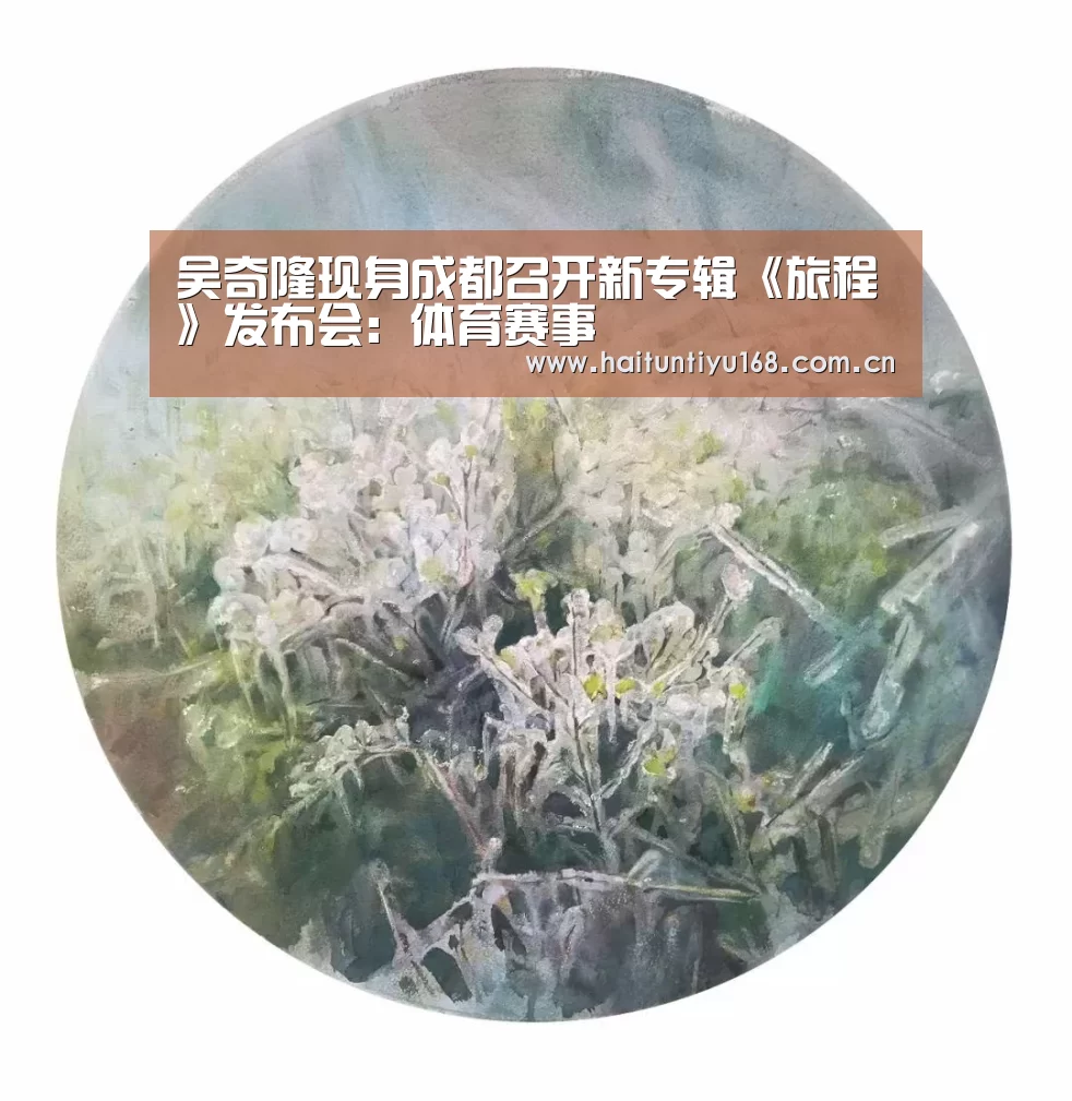 吴奇隆现身成都召开新专辑《旅程》发布会:体育赛事(图2) 海豚体育