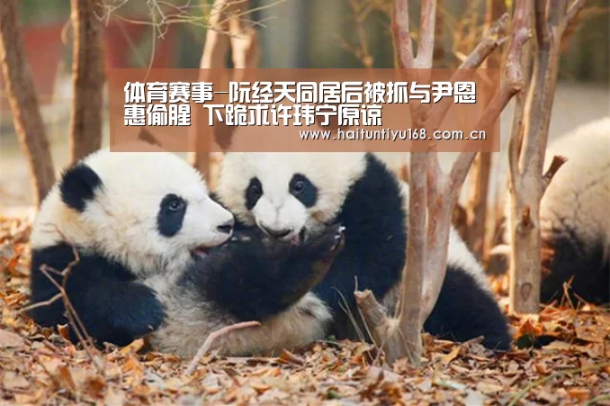 健身互动