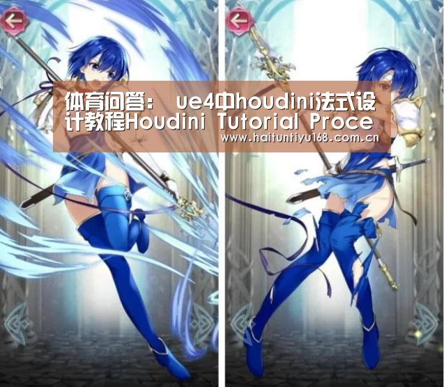 海豚体育