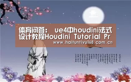 体育问答