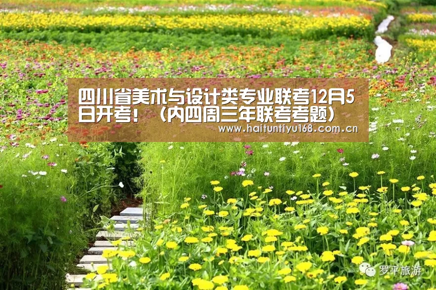 健身互动